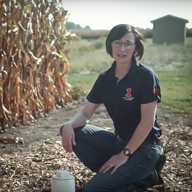 Woman kneeling in corn field