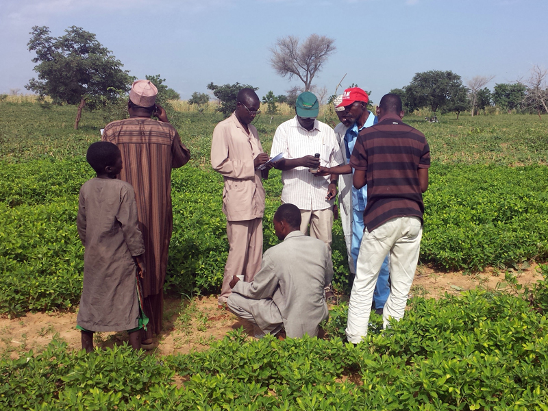 Group of people standing in field.