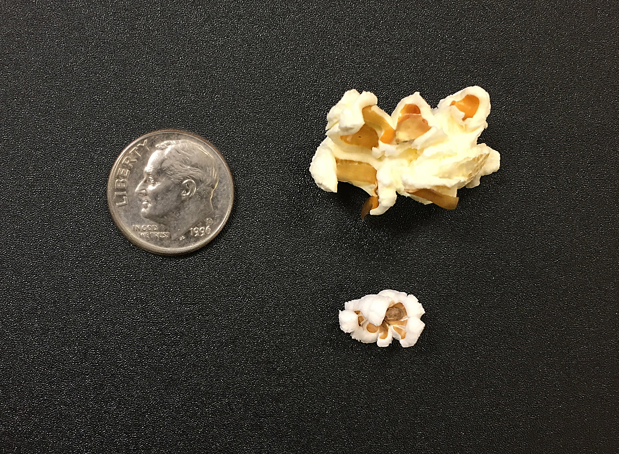 Comparing size of single popped sorghum kernel to dime