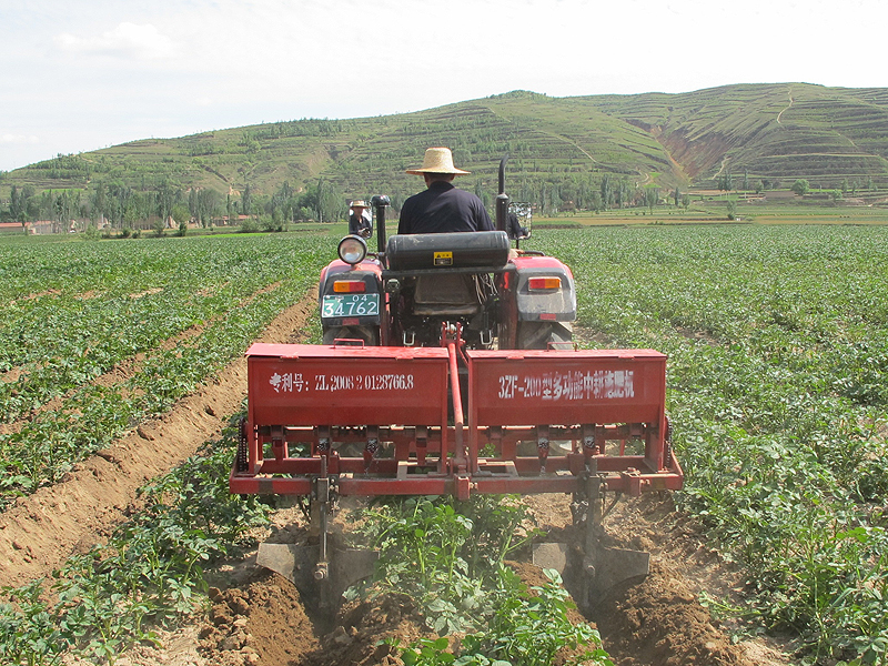 Cultivator in potato field.