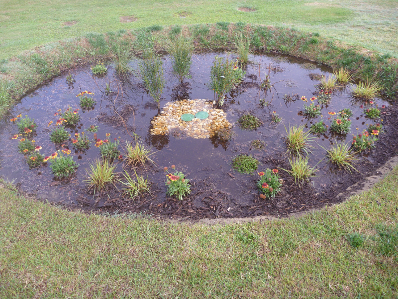 A pool of rain water in mowed, green field