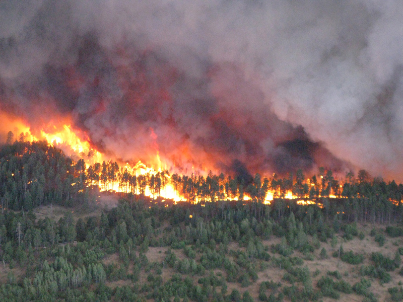 Wildfire burning woods.