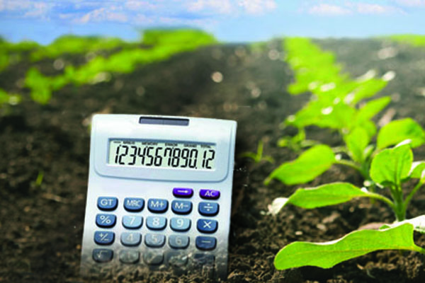 calculator in soil