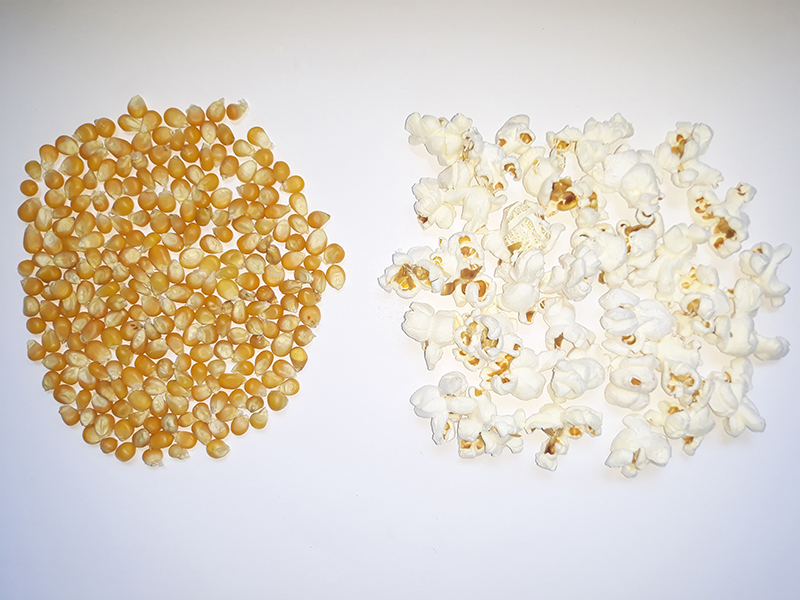 Pile of yellow popcorn kernels next to a pile of popped yellow popcorn.