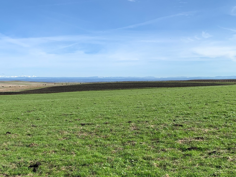 Field with freshly applied biosolids to help improve the soil.