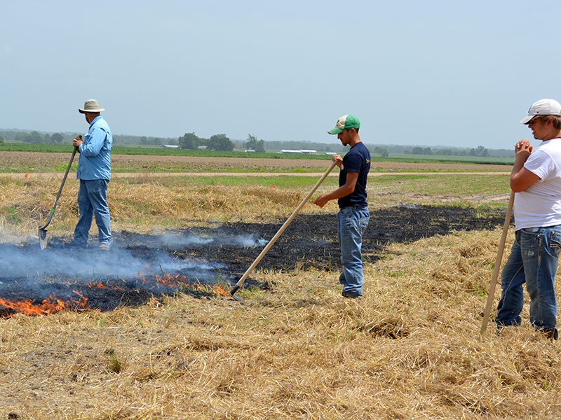 Three men watching controlled burn.