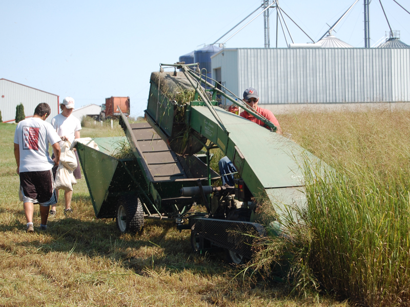 Switchgrass harvester with people around it.