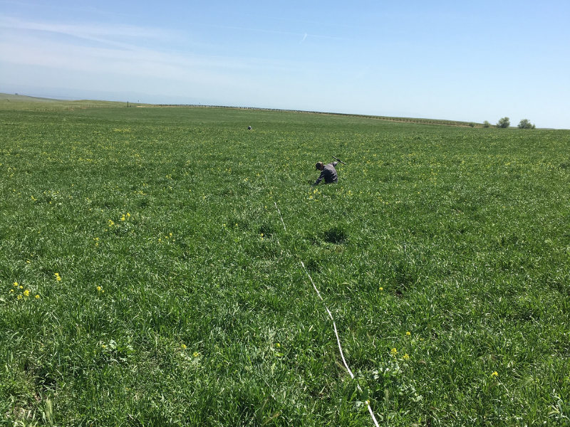 Person collecting soil sample in field with long rope 