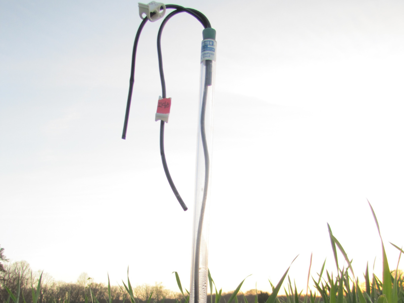 lysimeter tool rising above crops