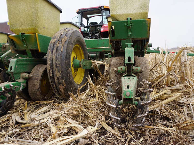 planting beans into corn residue