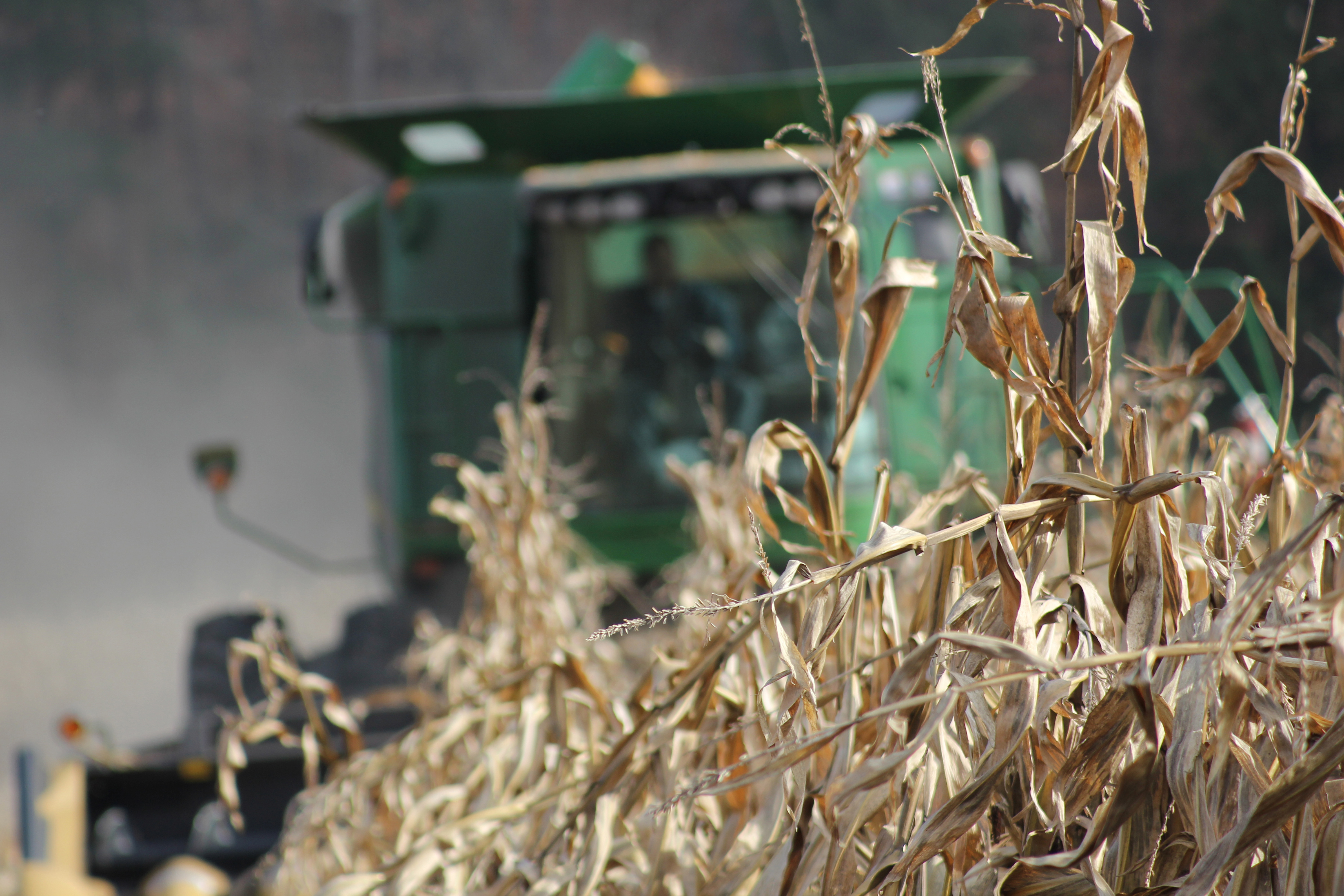 tractor harvesting