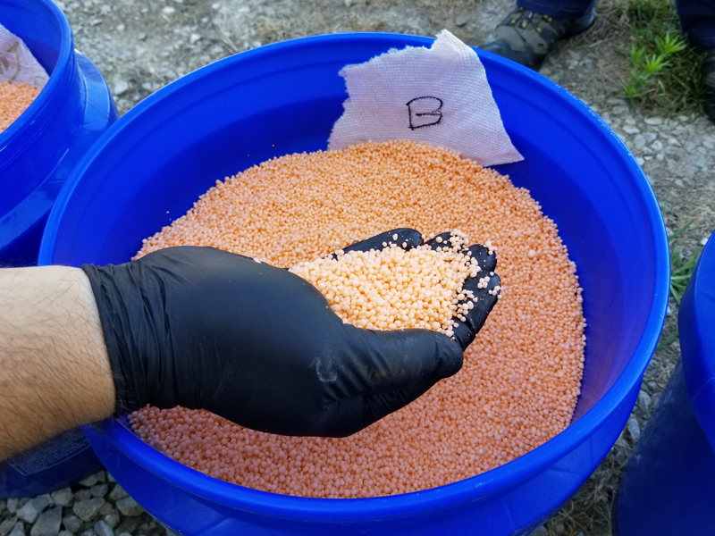 Treated urea granules in bucket