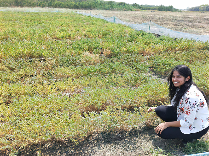 Woman smiling squatting down by plants in a field