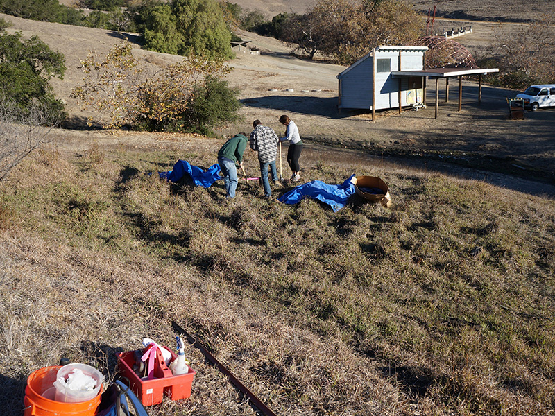 researchers digging soil pit