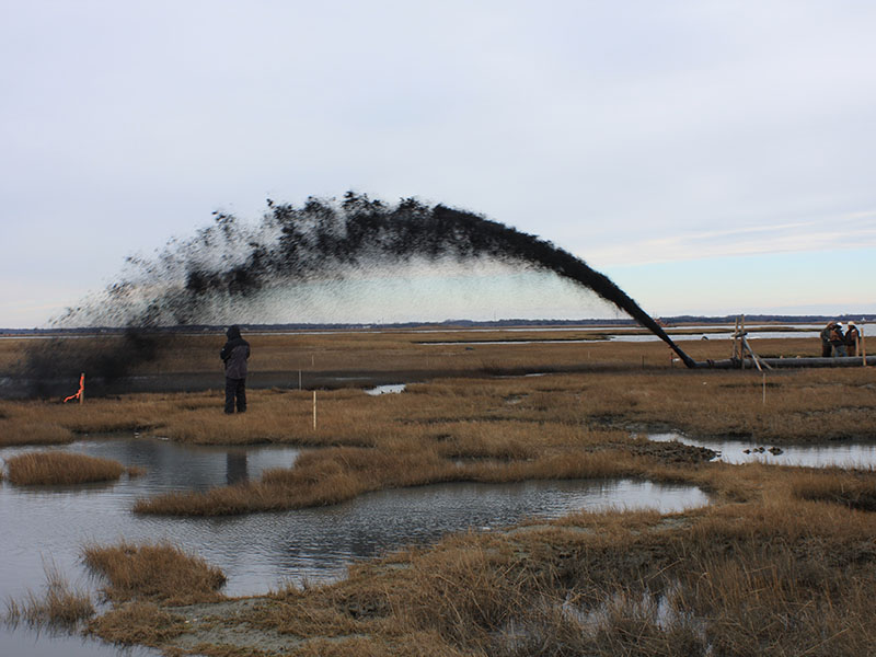 addition of soil to wetlands