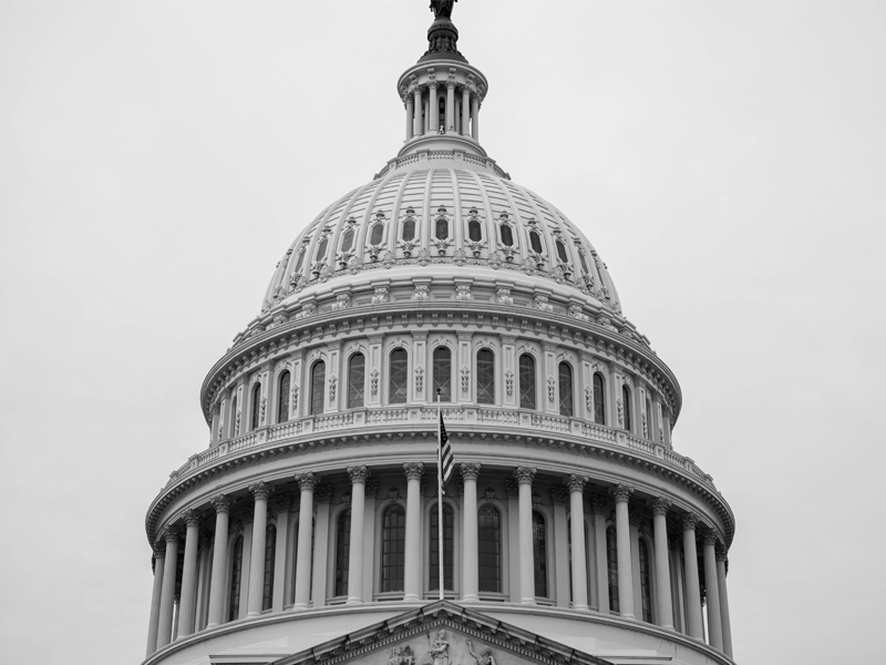 black and white image of the US capitol dome