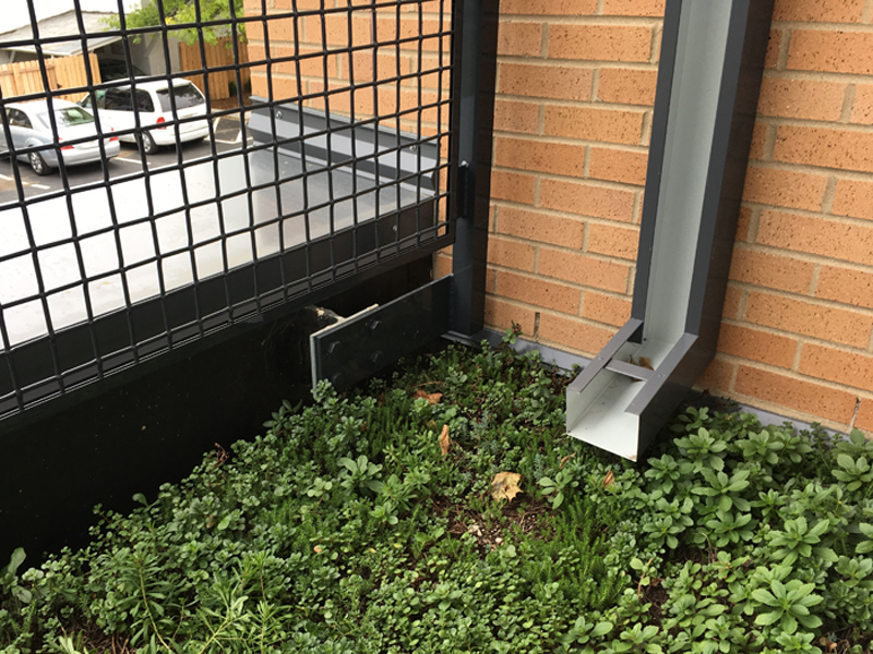 gutter ending in planted area of green roof