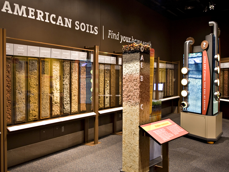 Soil profile monoliths at Dig It exhibit.