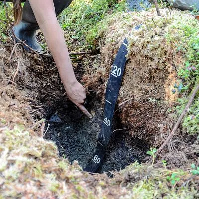 ya-mossy-soil-blanket